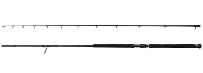 Vezi acum Lanseta Savage Gear Defiance SG2 Shore Jigging 3.05m/30-100g