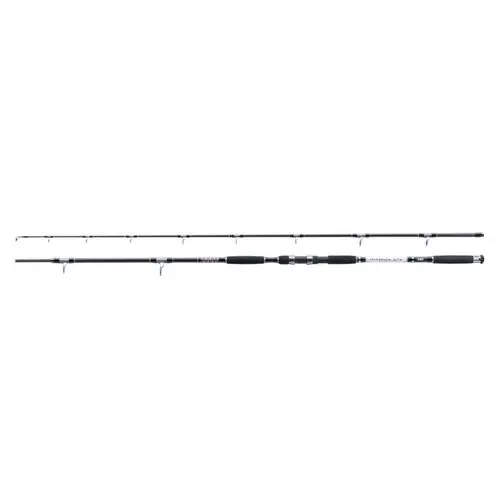 Lanseta Jaxon Intensa GTX Cat Fish 2.85m/500g Discount