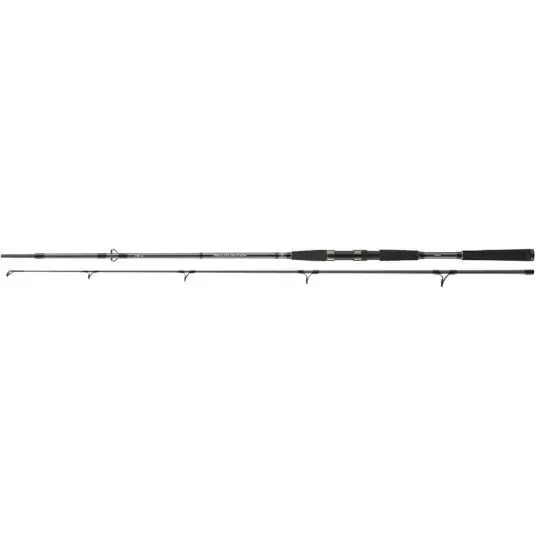 Reducere specială Lanseta Daiwa Seahunter X Pilk New 2.70m/100-200g