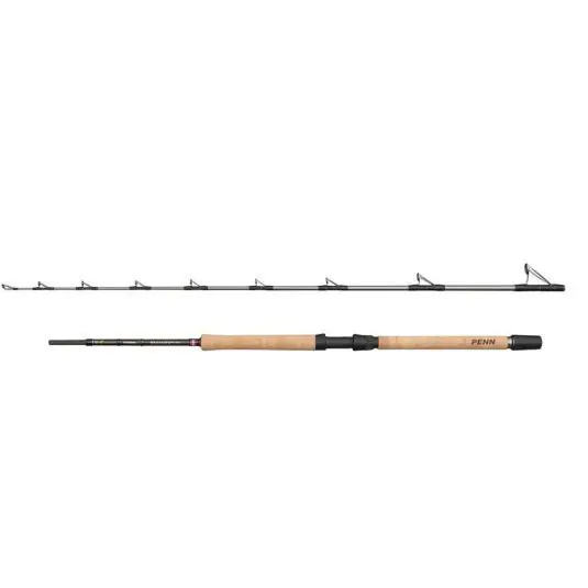Cel mai bun preț Lanseta Penn Regiment IV Pro Boat Rod 2.10m/12-20lb